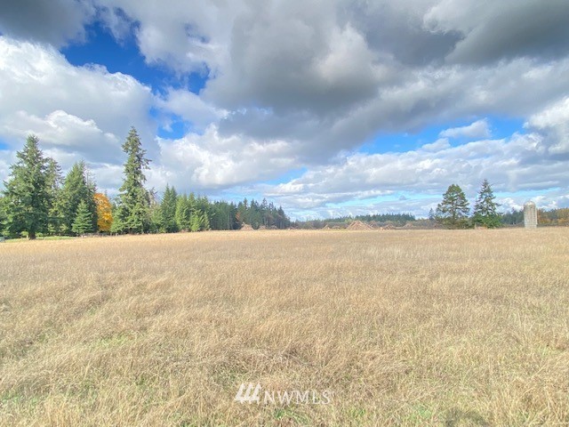 425 Antrim (lot 2) Road Winlock, WA 98596 - Photo 2 of 14 a view of an outdoor space and a lake view in back