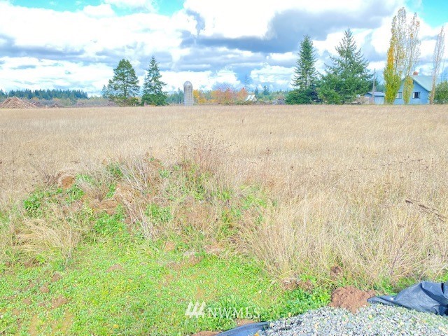 425 Antrim (lot 2) Road Winlock, WA 98596 - Photo 11 of 14 a view of lake and yard