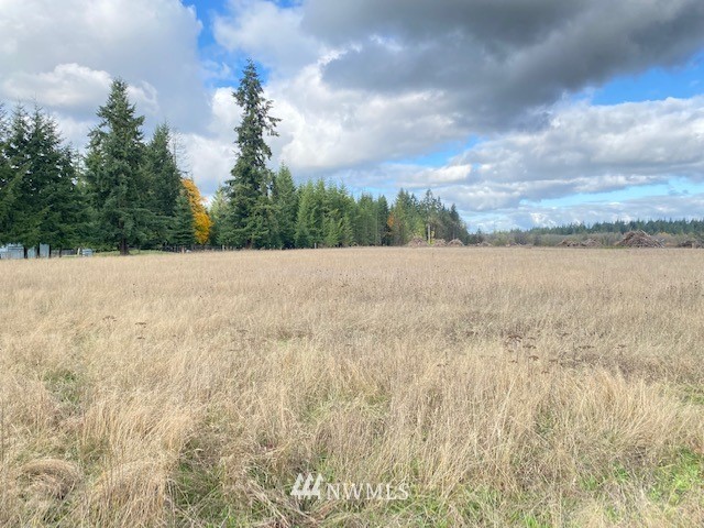 425 Antrim (lot 2) Road Winlock, WA 98596 - Photo 12 of 14 a view of an outdoor space and a yard