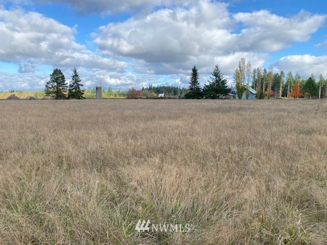 425 Antrim (lot 2) Road Winlock, WA 98596 - Photo 13 of 14