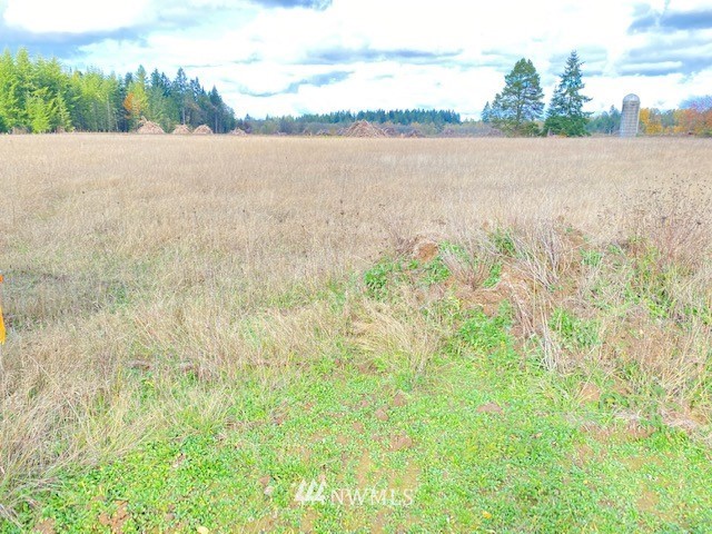 425 Antrim (lot 2) Road Winlock, WA 98596 - Photo 4 of 14 a view of lake and green space