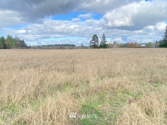 425 Antrim (lot 2) Road Winlock, WA 98596 - Photo 5 of 14 a view of a lake from a yard