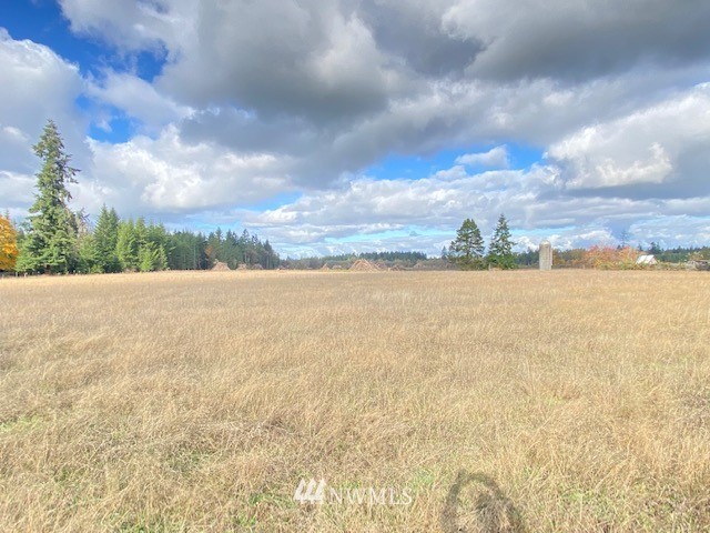 425 Antrim (lot 2) Road Winlock, WA 98596 - Photo 7 of 14