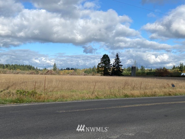 425 Antrim (lot 2) Road Winlock, WA 98596 - Photo 8 of 14 a view of a lake