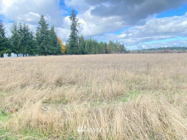 425 Antrim (lot 2) Road Winlock, WA 98596 - Photo 9 of 14 a view of a lake view