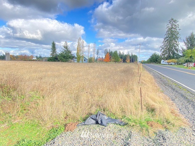 425 Antrim (lot 2) Road Winlock, WA 98596 - Photo 10 of 14 a view of a city