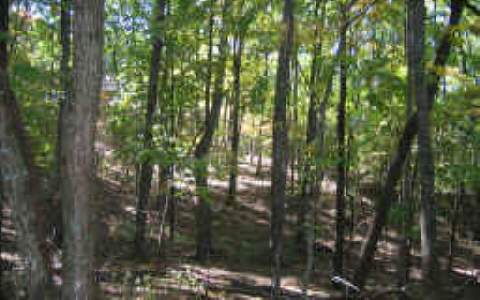 4103 Denny Ridge Road Jasper, GA 30143 - Photo 1 of 1 Main View