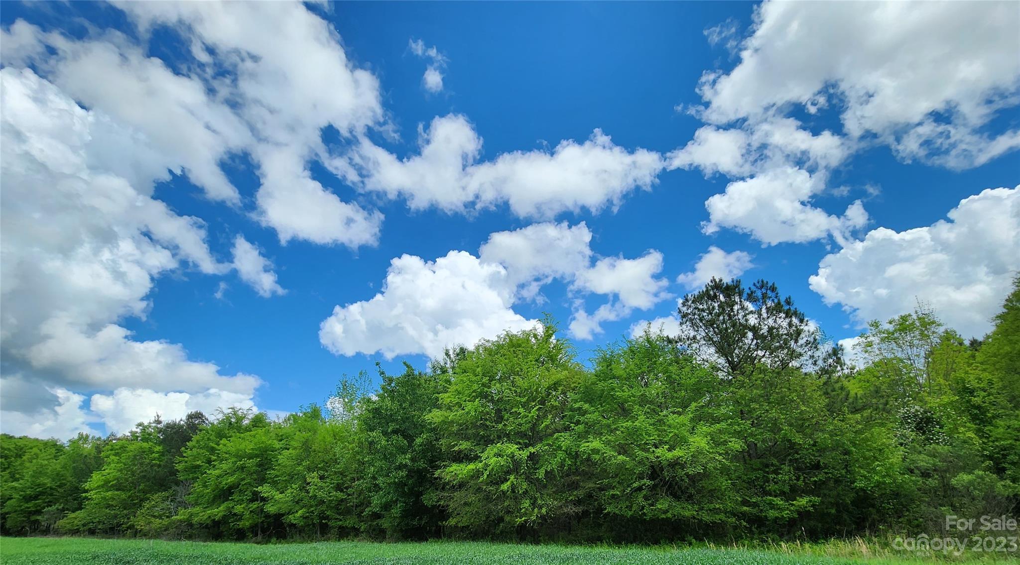 Anderson Richardson Road Monroe, NC 28112 - Photo 3 of 7 a view of a bunch of flowers in bunch