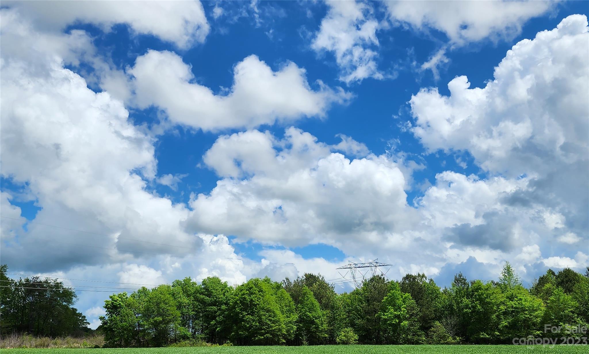 Anderson Richardson Road Monroe, NC 28112 - Photo 4 of 7 a view of a lot of flower