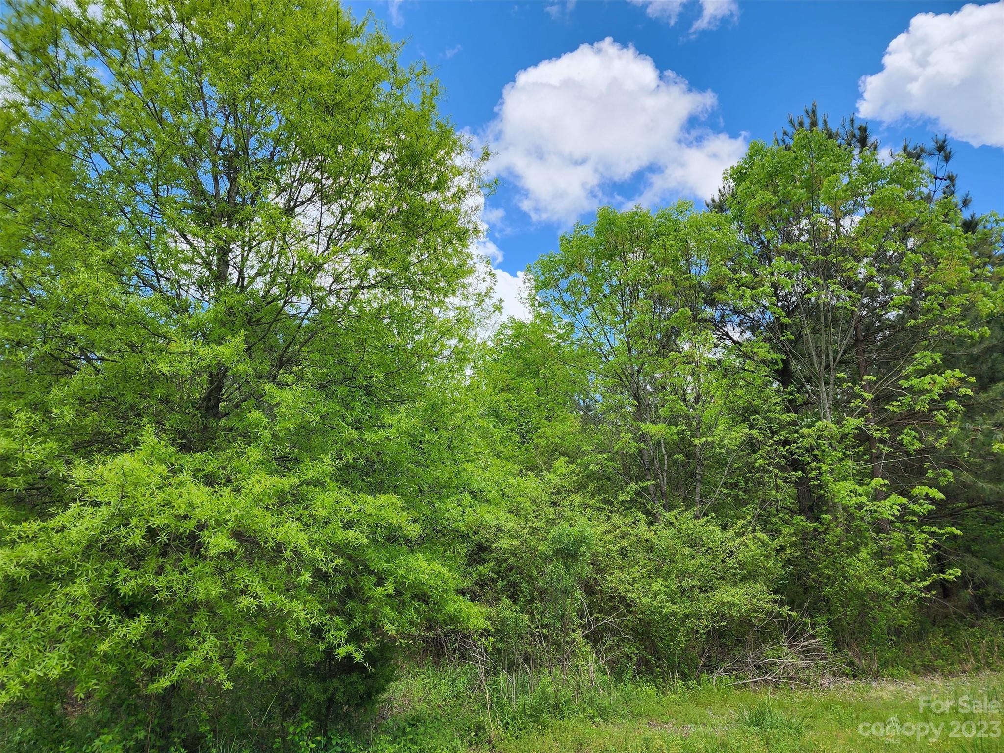 Anderson Richardson Road Monroe, NC 28112 - Photo 6 of 7 a view of a garden