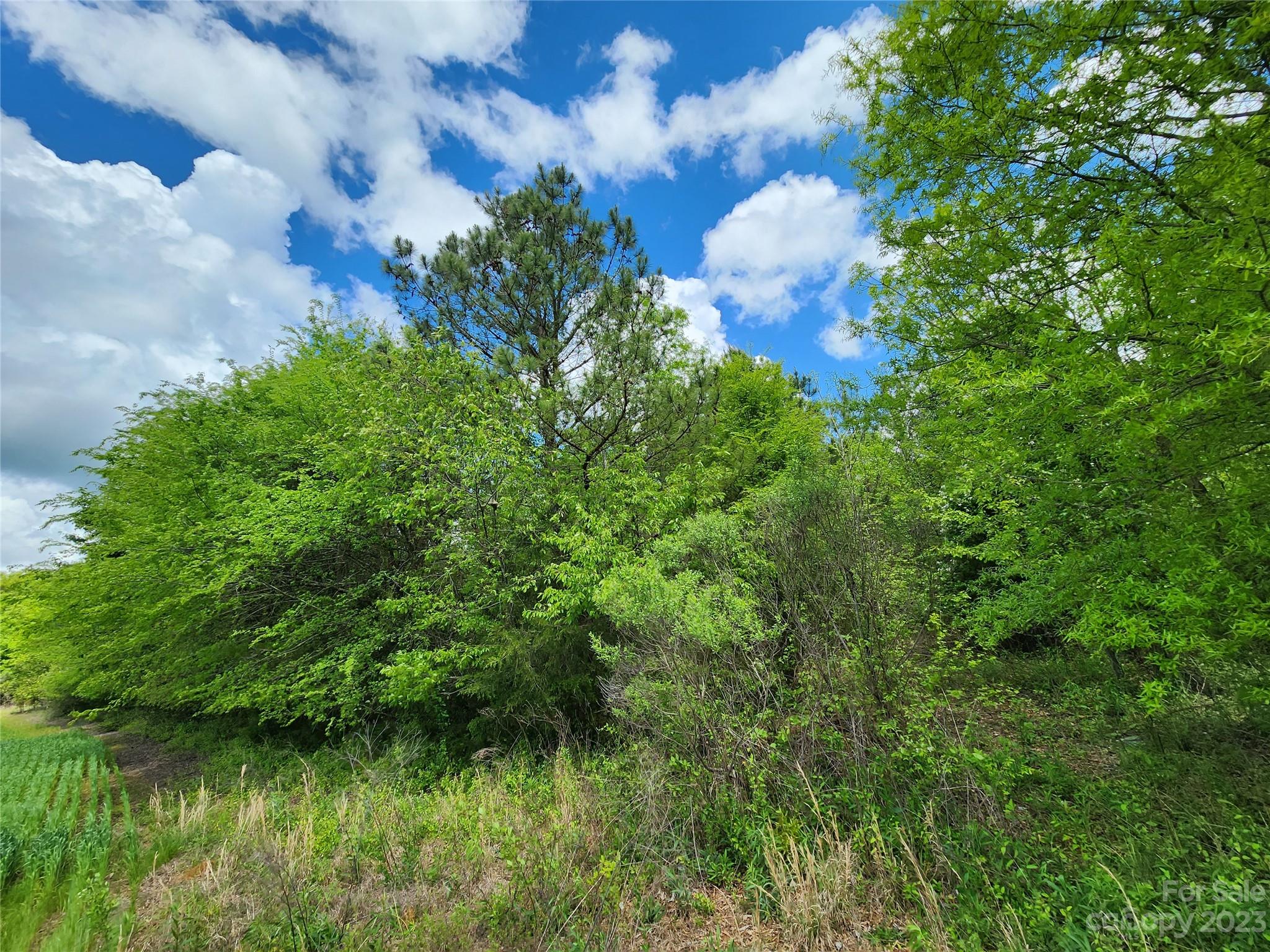Anderson Richardson Road Monroe, NC 28112 - Photo 7 of 7 a view of a lake