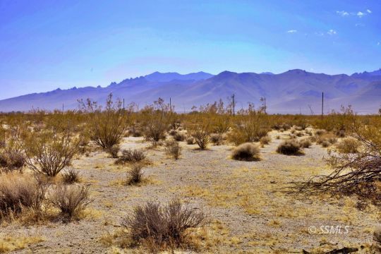 Brown Road Inyokern, CA 93527 - Photo 4 of 10