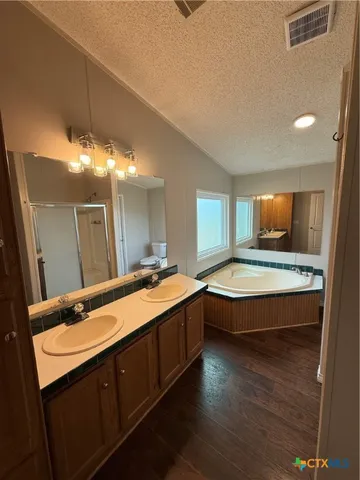 a bathroom with a granite countertop sink and a large mirror