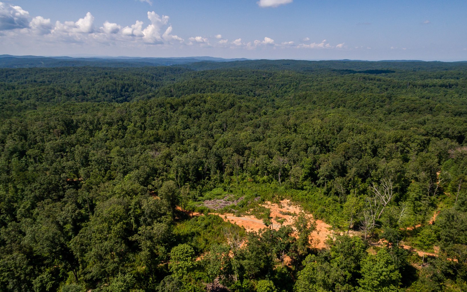 64-ac Dotson Road Ellijay, GA 30540 - Photo 1 of 1 Main View