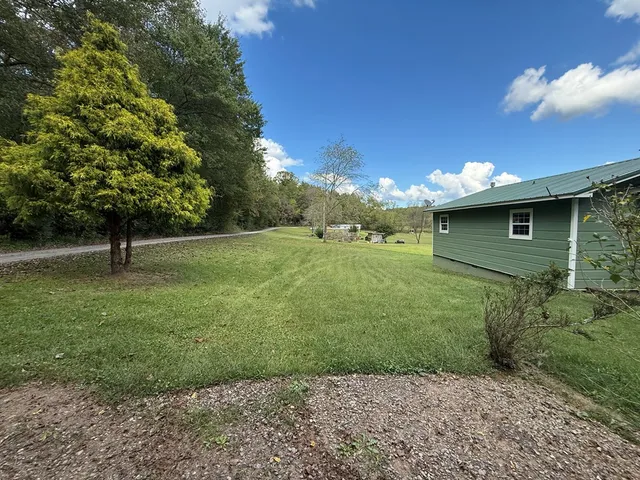 a view of a backyard with green space