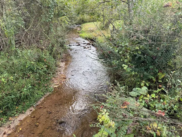 a view of a field with an trees