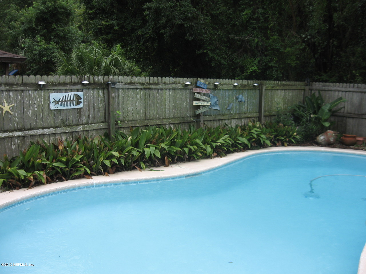 3474 Eunice Road Jacksonville, FL 32250 - Photo 4 of 19 Pool View 2