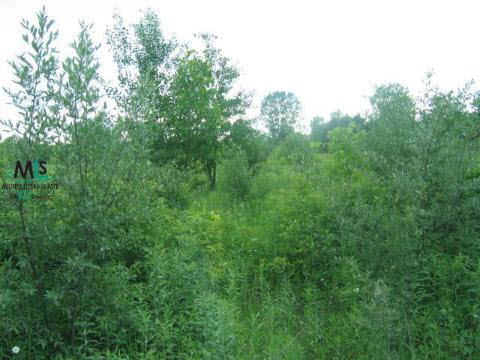 0 O'neil Goodells, MI 48027 - Photo 1 of 2 876909.JPG