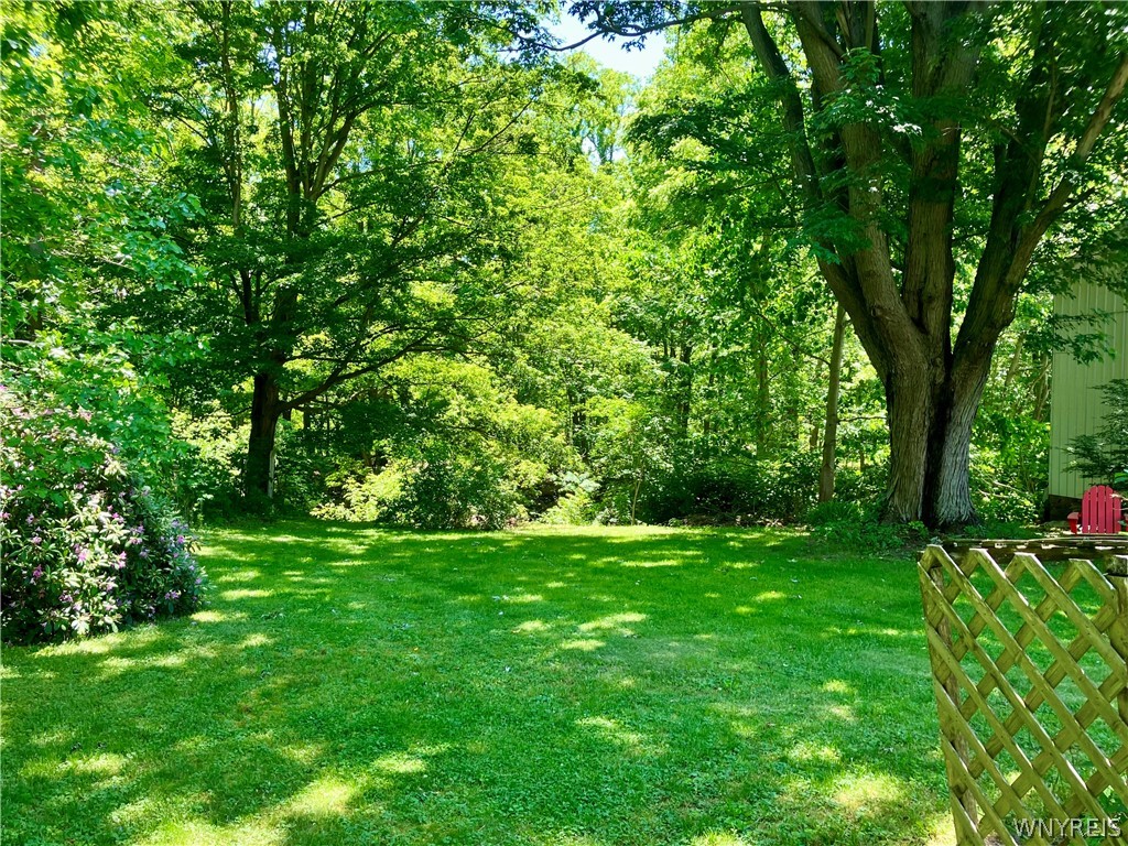10296 Ridge Road Ridgeway, NY 14103 - Photo 33 of 45 Wooded yard slopes to creek