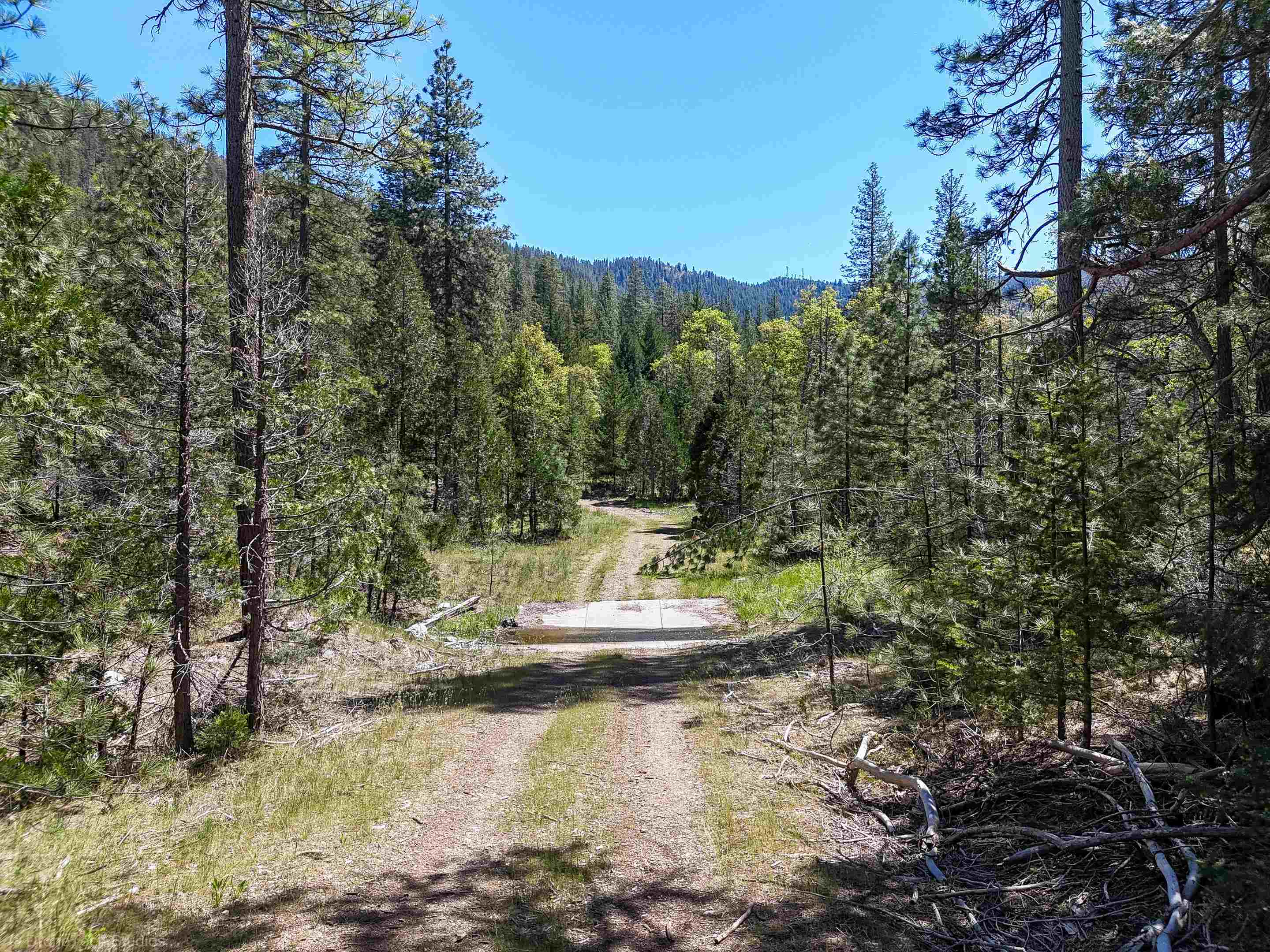 7226 Schulmeyer Gulch Road Yreka, CA 96097 - Photo 31 of 40 Gallery Image 31