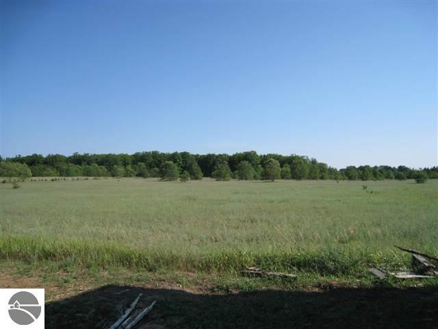15105 Stanley Road Beulah, MI 49617 - Photo 6 of 10 1737671-5.JPG