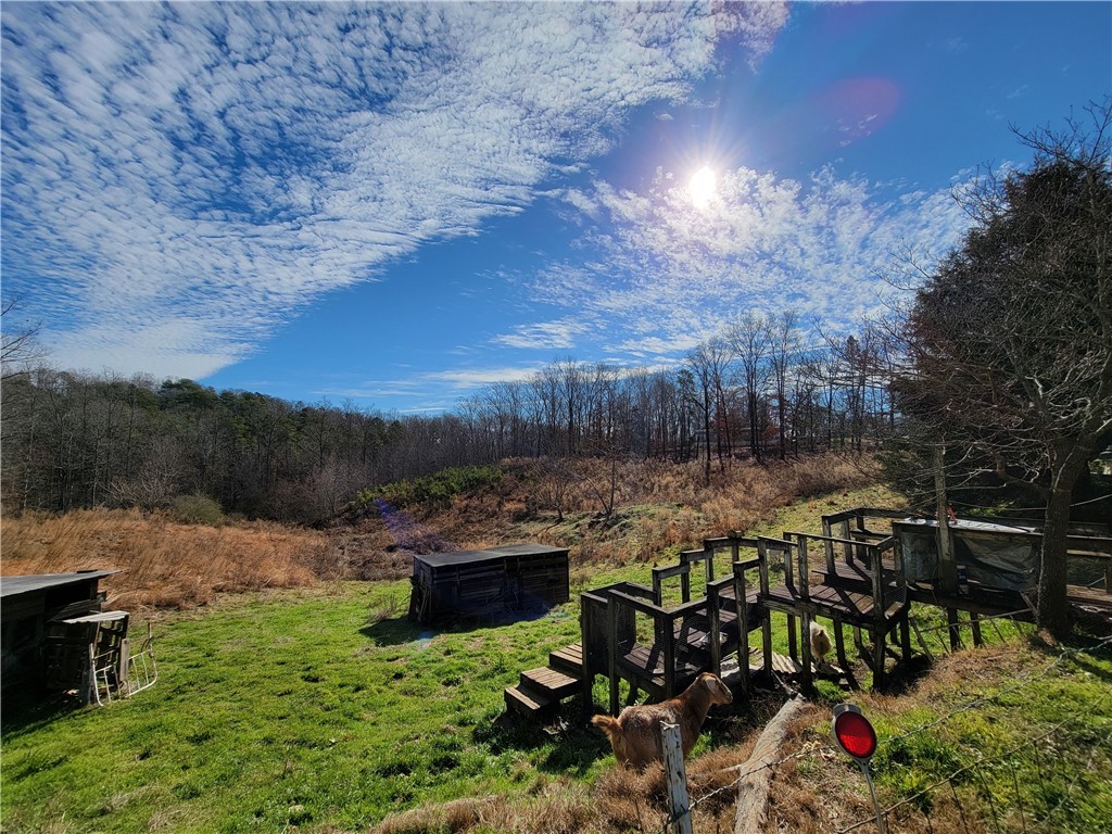 181 Praters Creek Road Pickens, SC 29671 - Photo 7 of 20