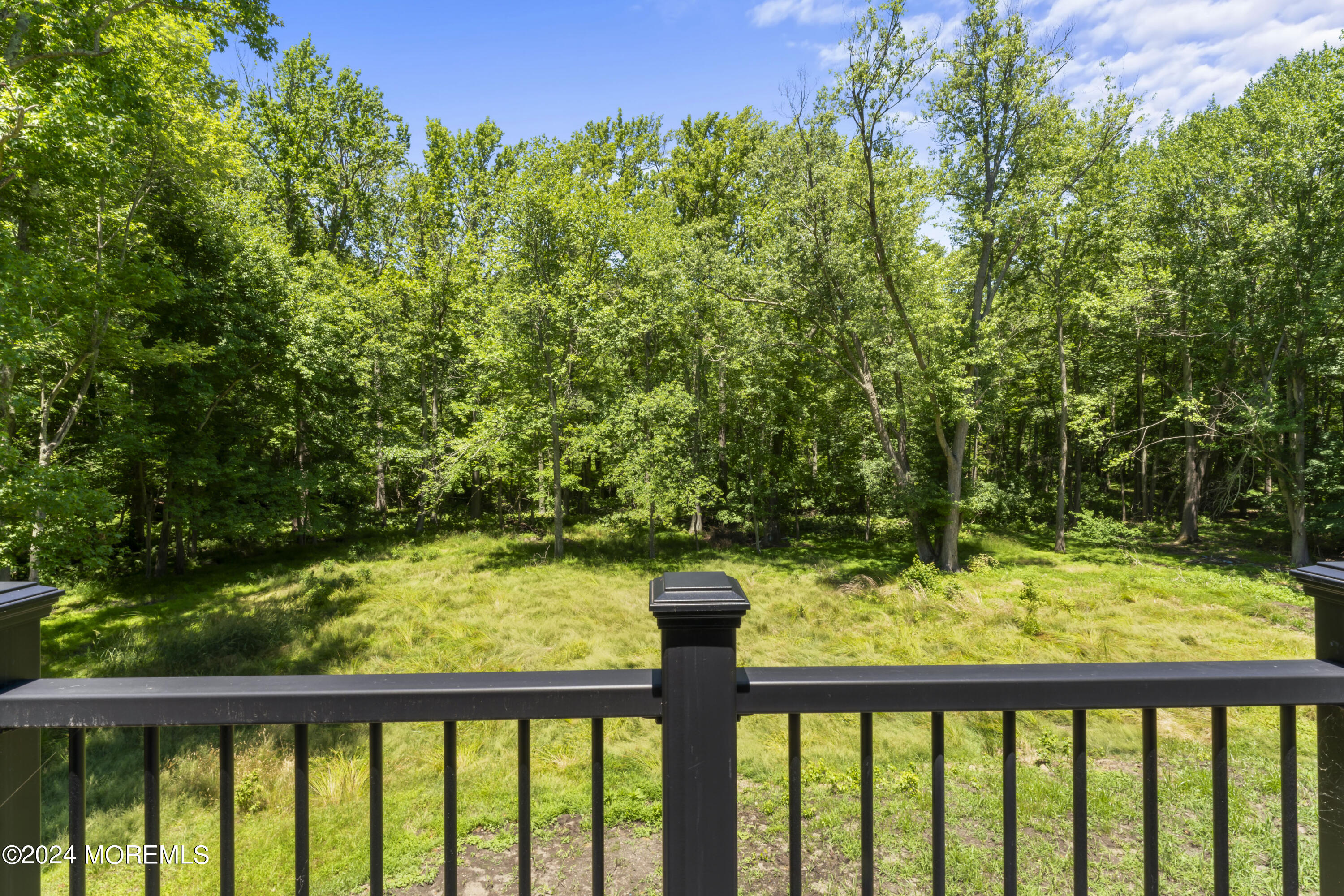 282 West Farms Road Farmingdale, NJ 07727 - Photo 53 of 77 photos_high_resolution_HOM00593