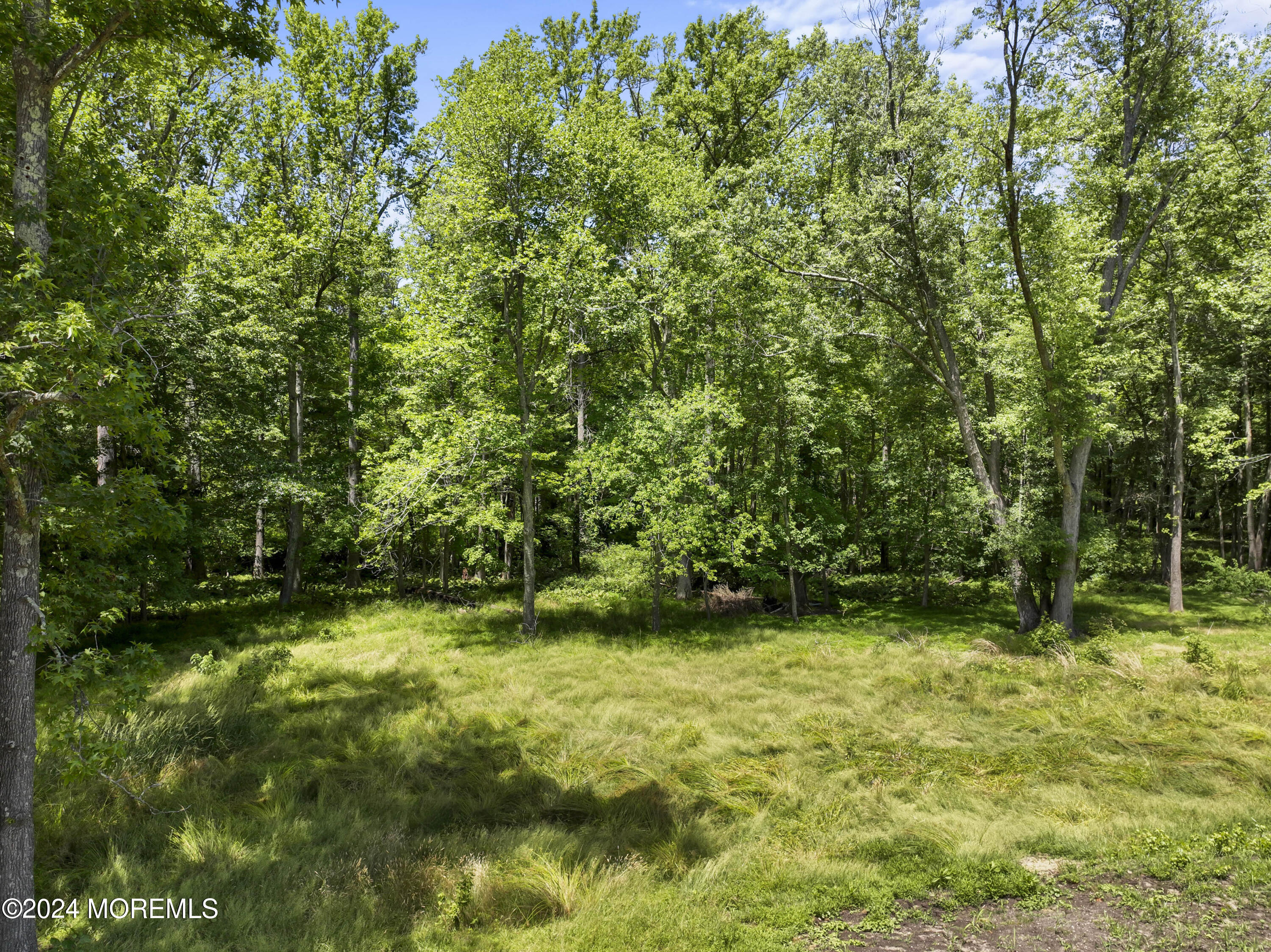 282 West Farms Road Farmingdale, NJ 07727 - Photo 72 of 77 photos_high_resolution_DJI_0758