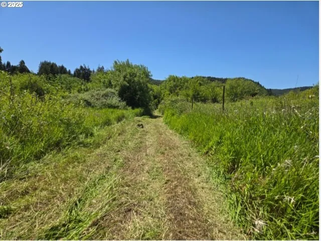 a view of a lush green field