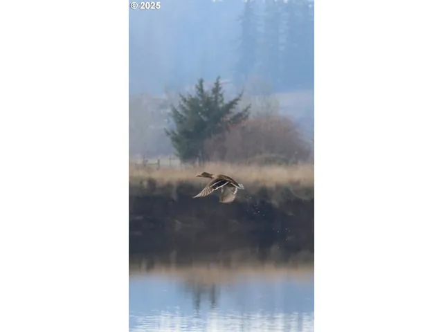 a close view of a bathroom shower