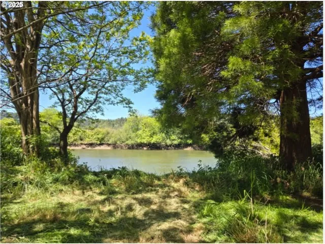 a view of a lake with a tree