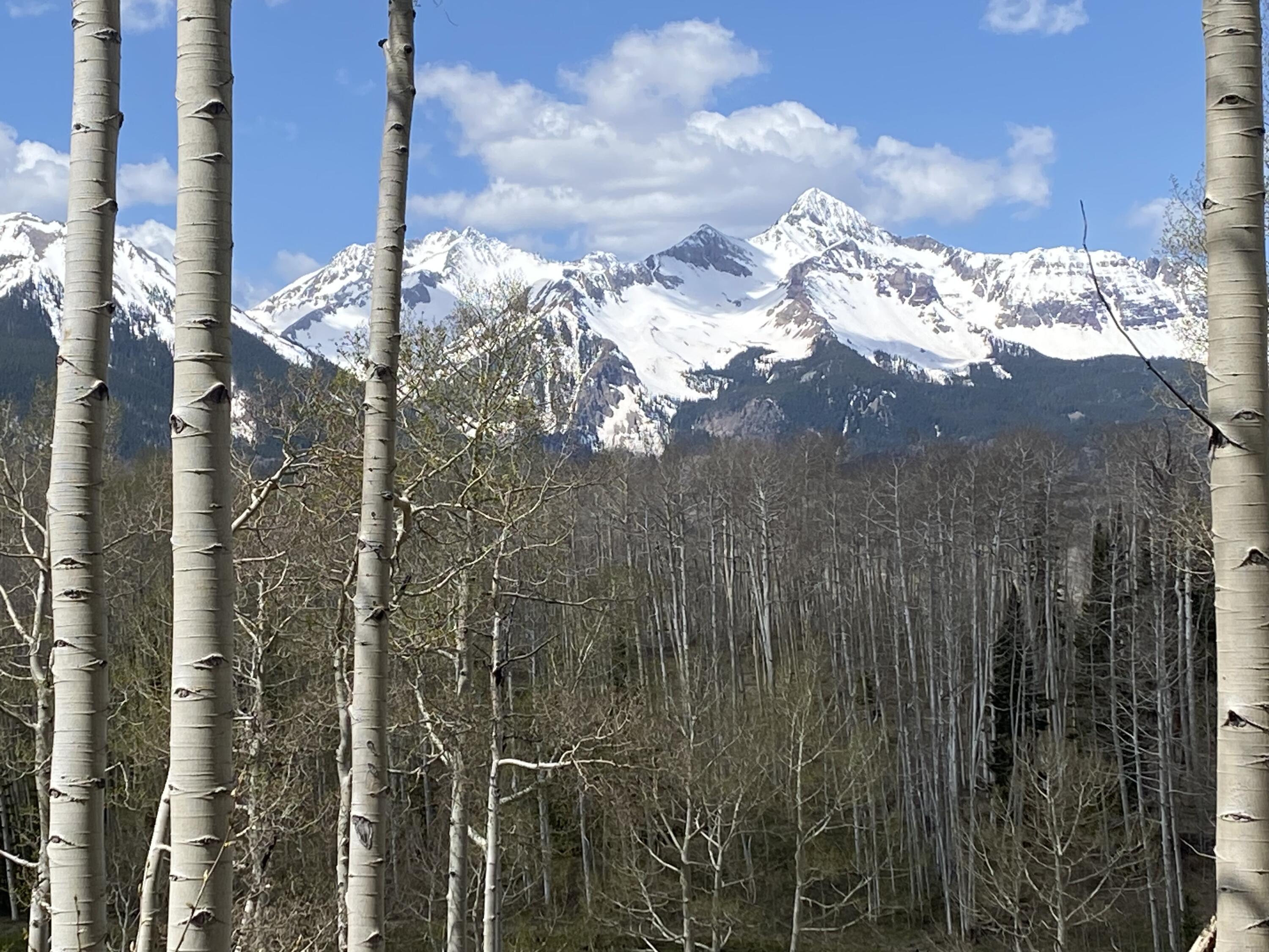 Tbd Elk Run Telluride, CO 81435 - Photo 11 of 24 a view of a forest of a house