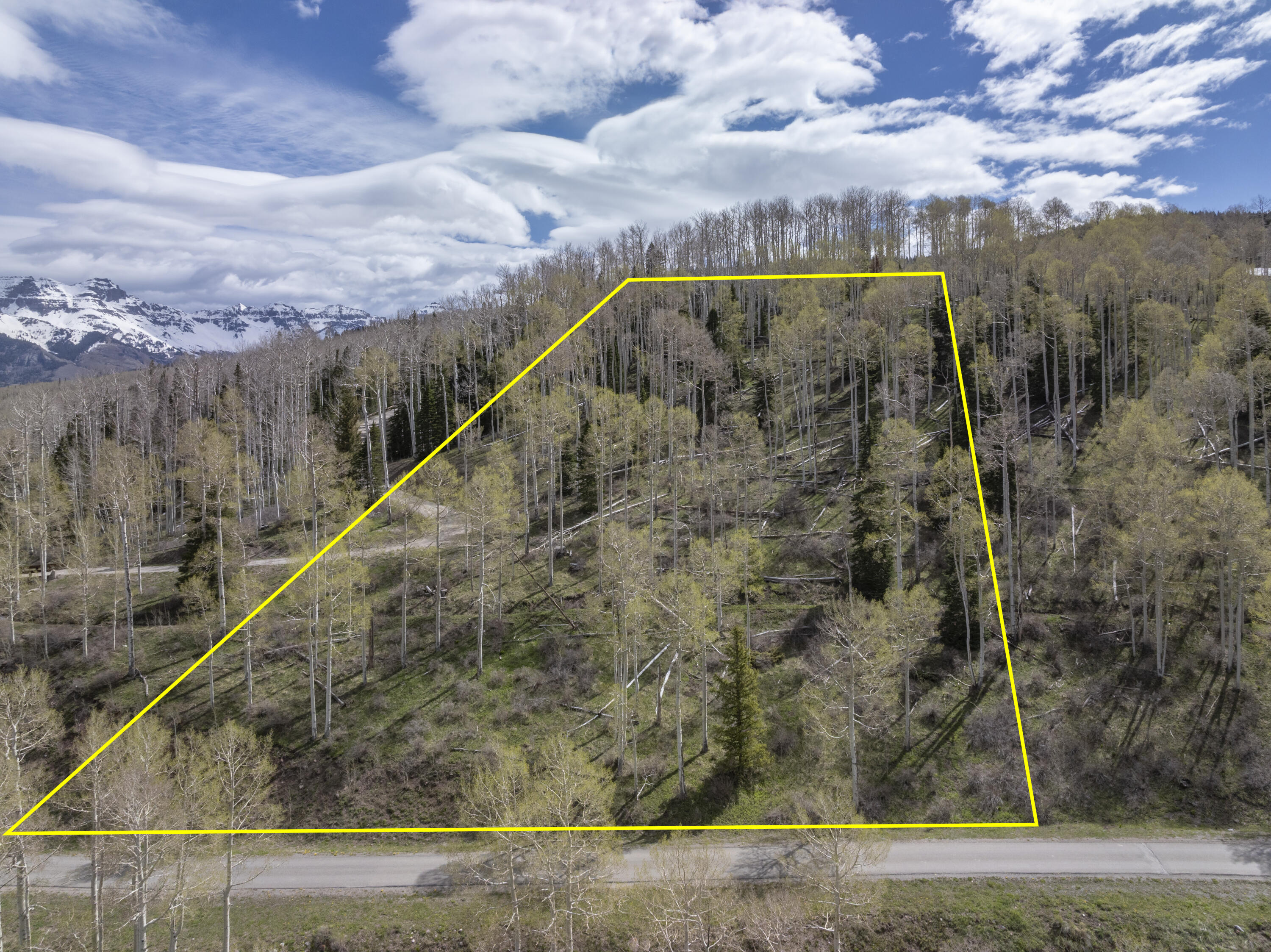 Tbd Elk Run Telluride, CO 81435 - Photo 12 of 24 a view of a swimming pool with a yard