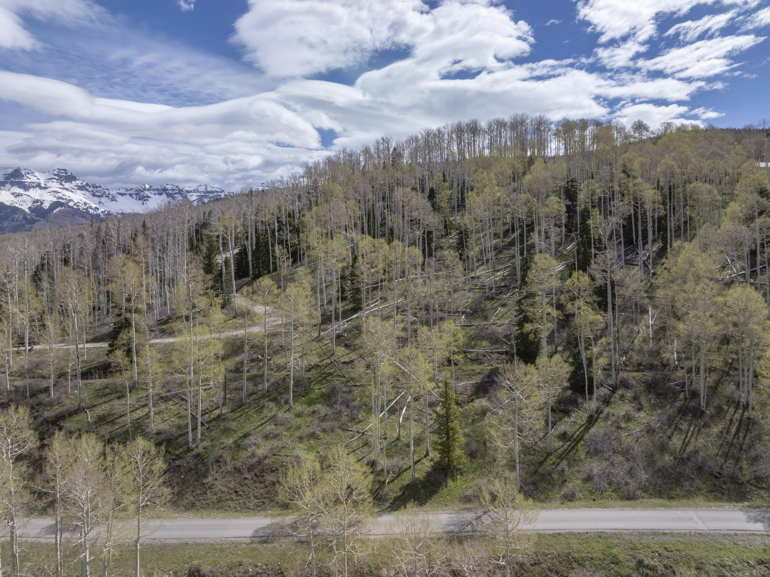 Tbd Elk Run Telluride, CO 81435 - Photo 13 of 24 a view of a yard with trees