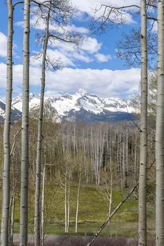a backyard of a house