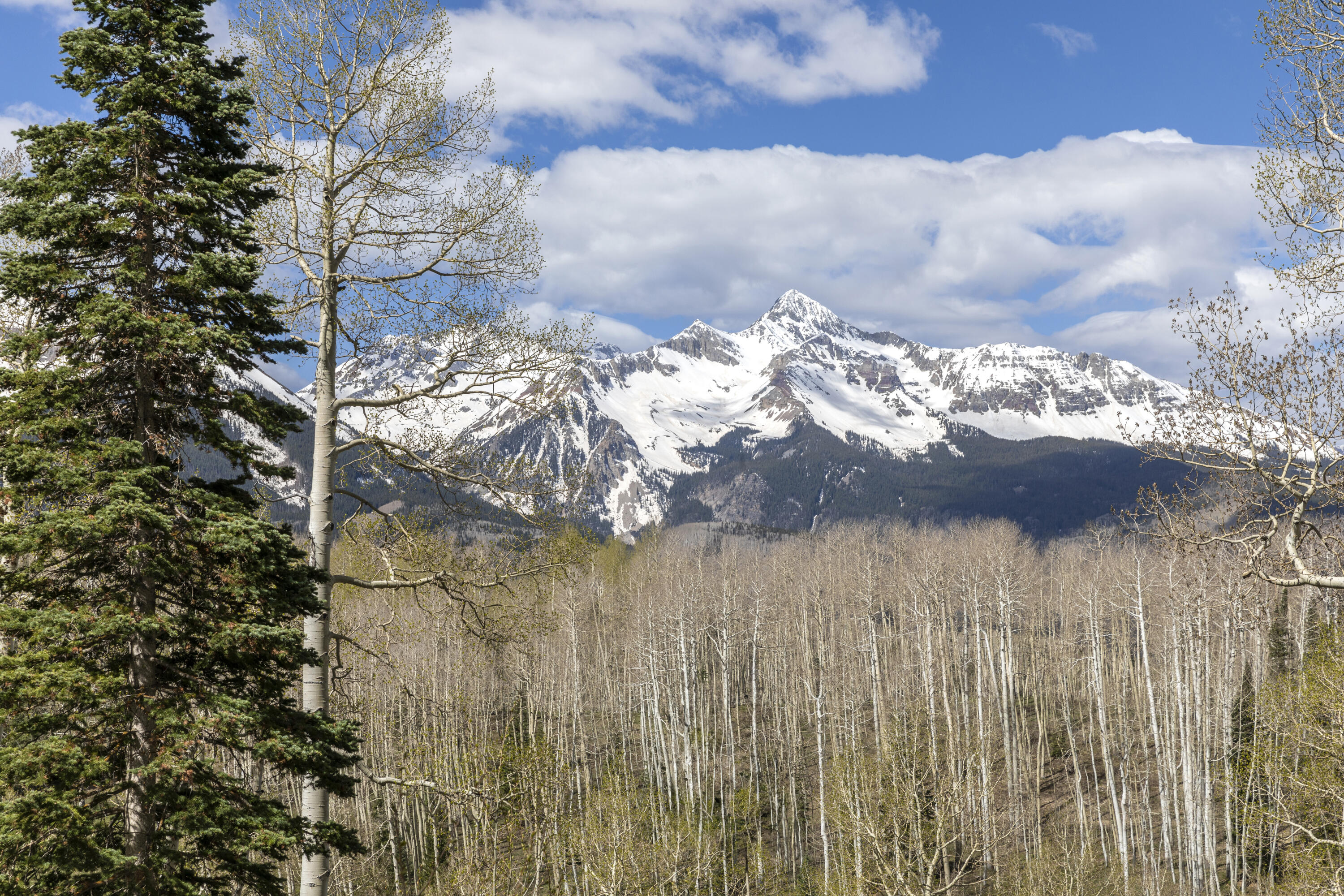 Tbd Elk Run Telluride, CO 81435 - Photo 16 of 24 a view of a wooden fence