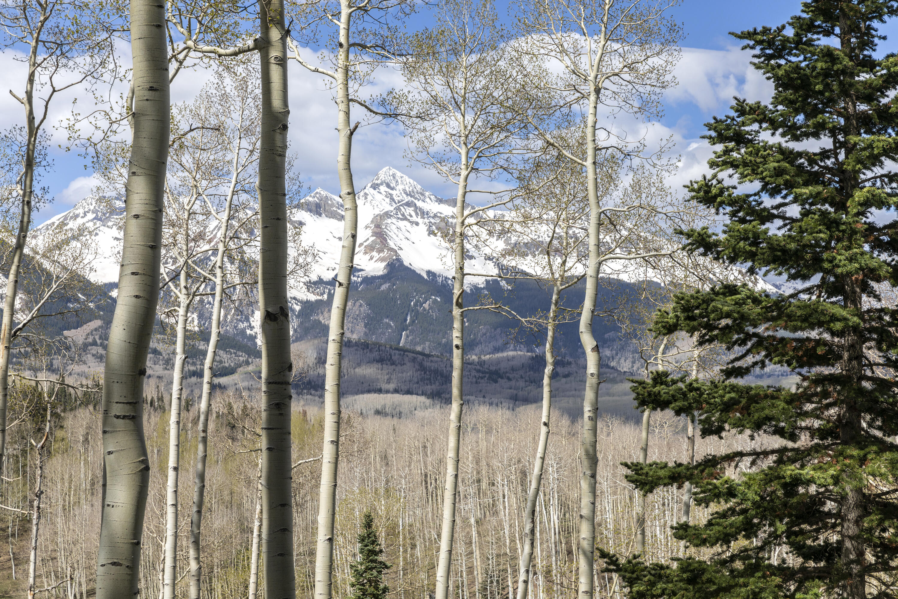 Tbd Elk Run Telluride, CO 81435 - Photo 17 of 24 a backyard of a house