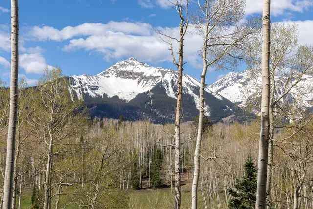 a view of a city with tall buildings