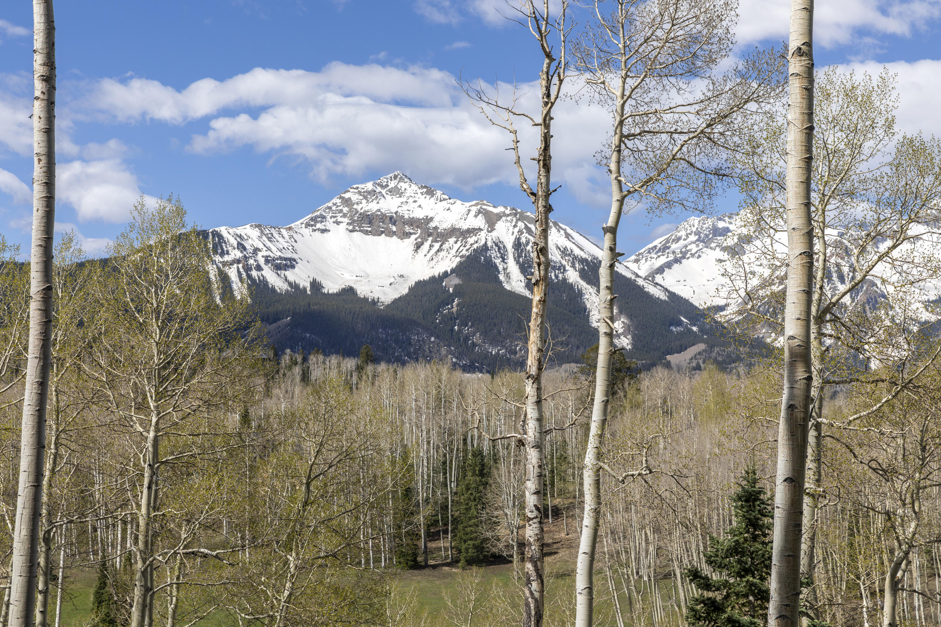 Tbd Elk Run Telluride, CO 81435 - Photo 18 of 24