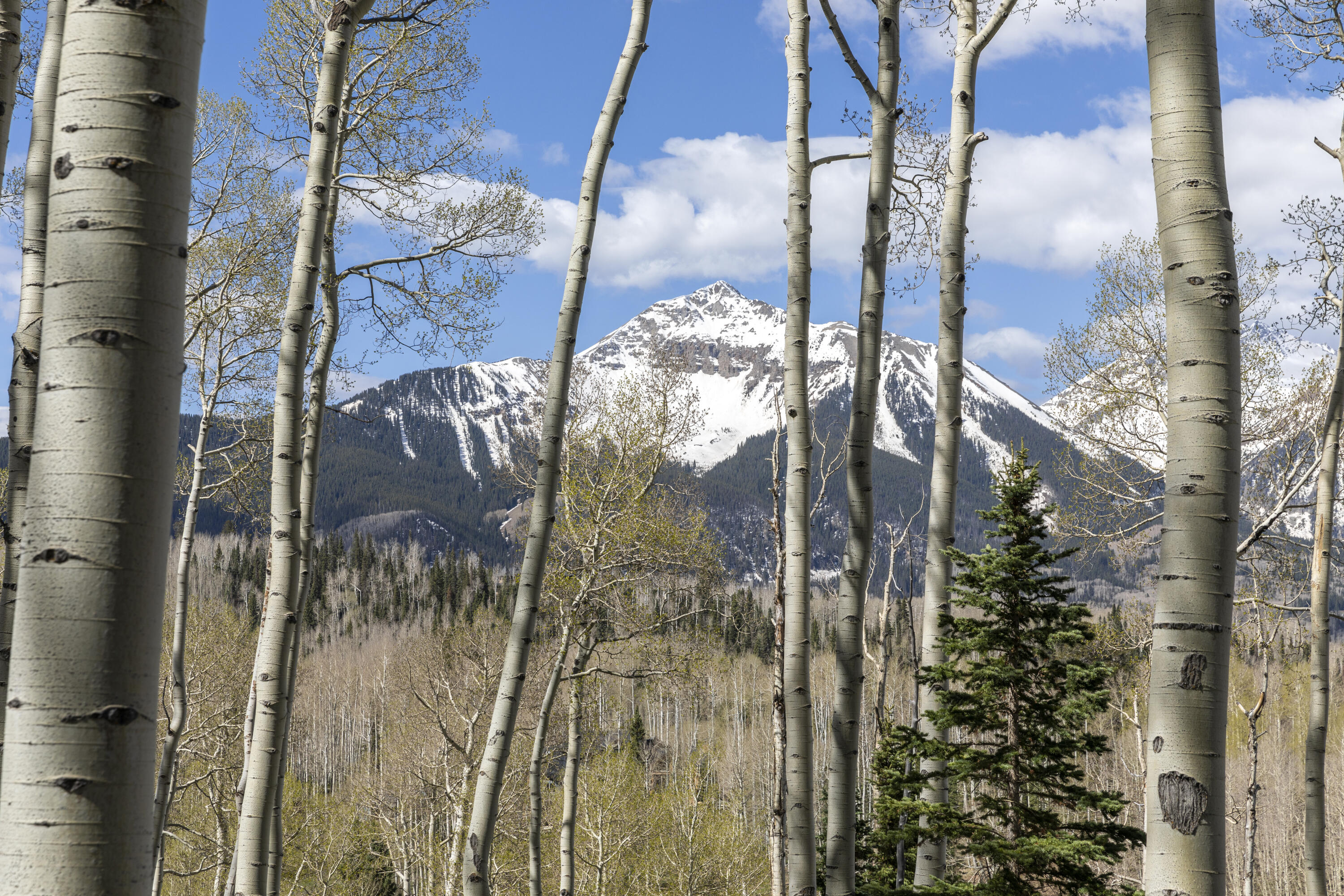 Tbd Elk Run Telluride, CO 81435 - Photo 19 of 24 a close view of water heater room