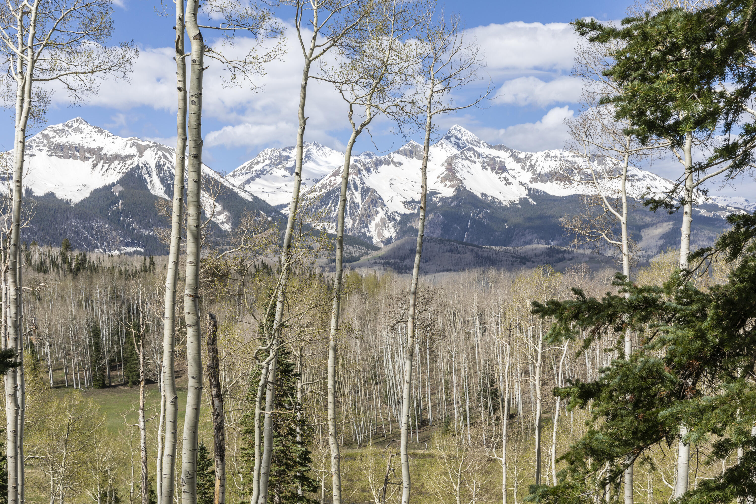 Tbd Elk Run Telluride, CO 81435 - Photo 20 of 24 a view of outside area