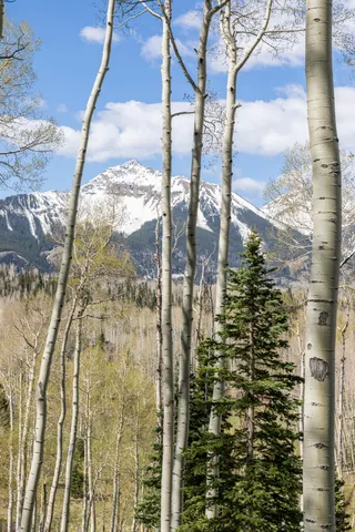 $2,400,000 | Tbd Elk Run, Telluride, CO 81435