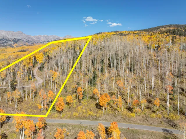 a view of an ocean with a palm tree