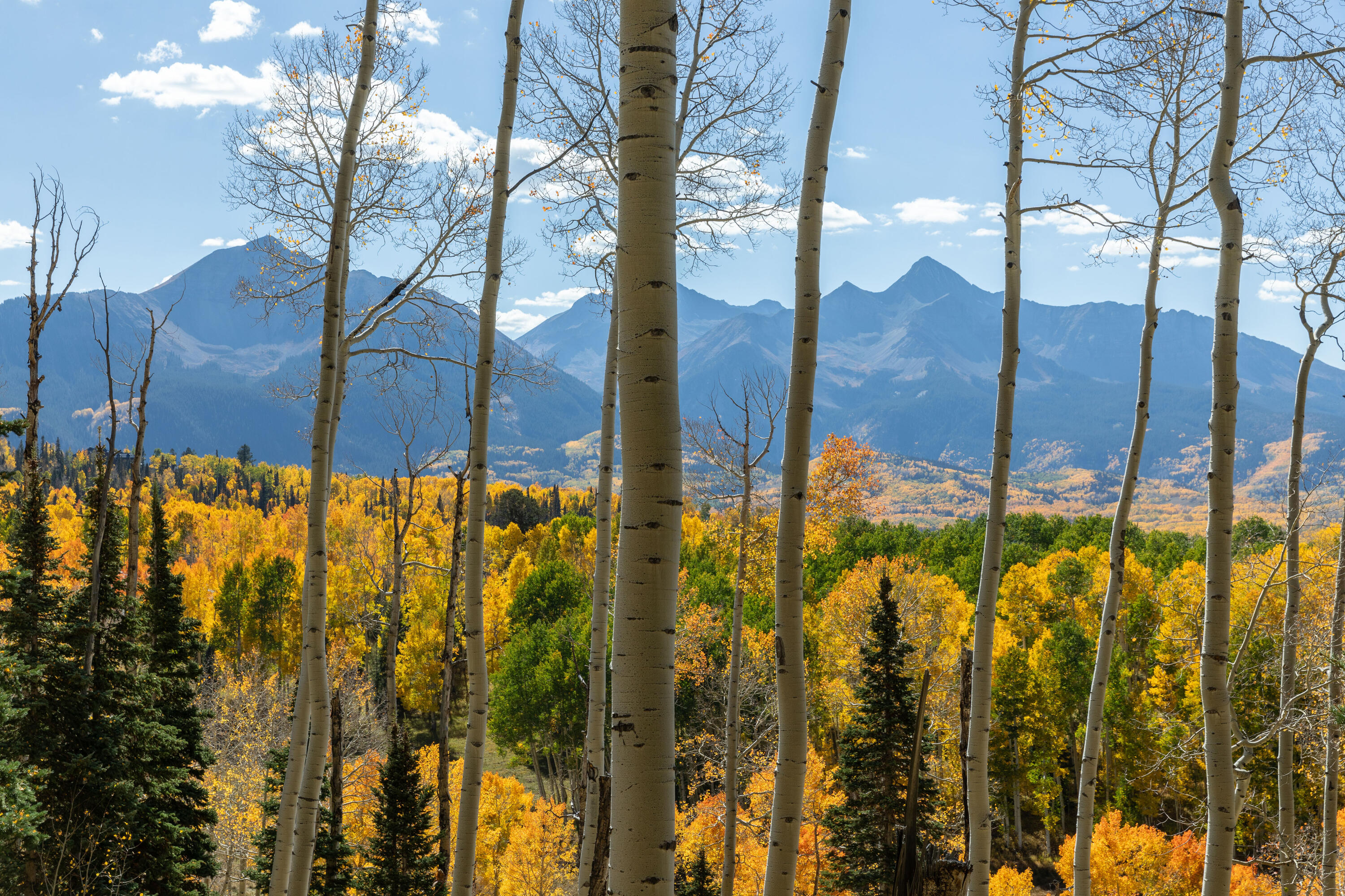 Tbd Elk Run Telluride, CO 81435 - Photo 6 of 24 a view of an outdoor space and a yard