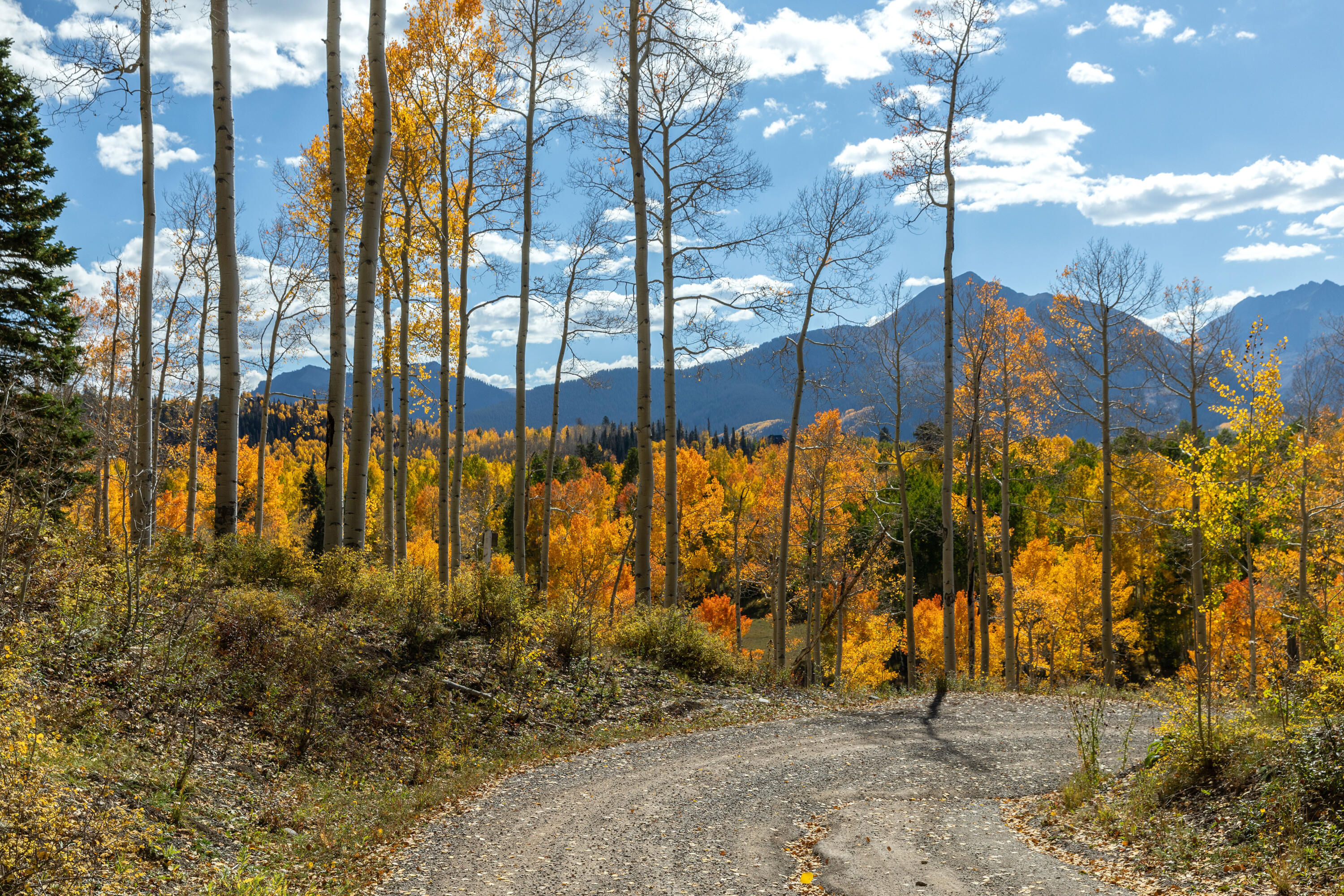 Tbd Elk Run Telluride, CO 81435 - Photo 7 of 24 a view of a building with a yard