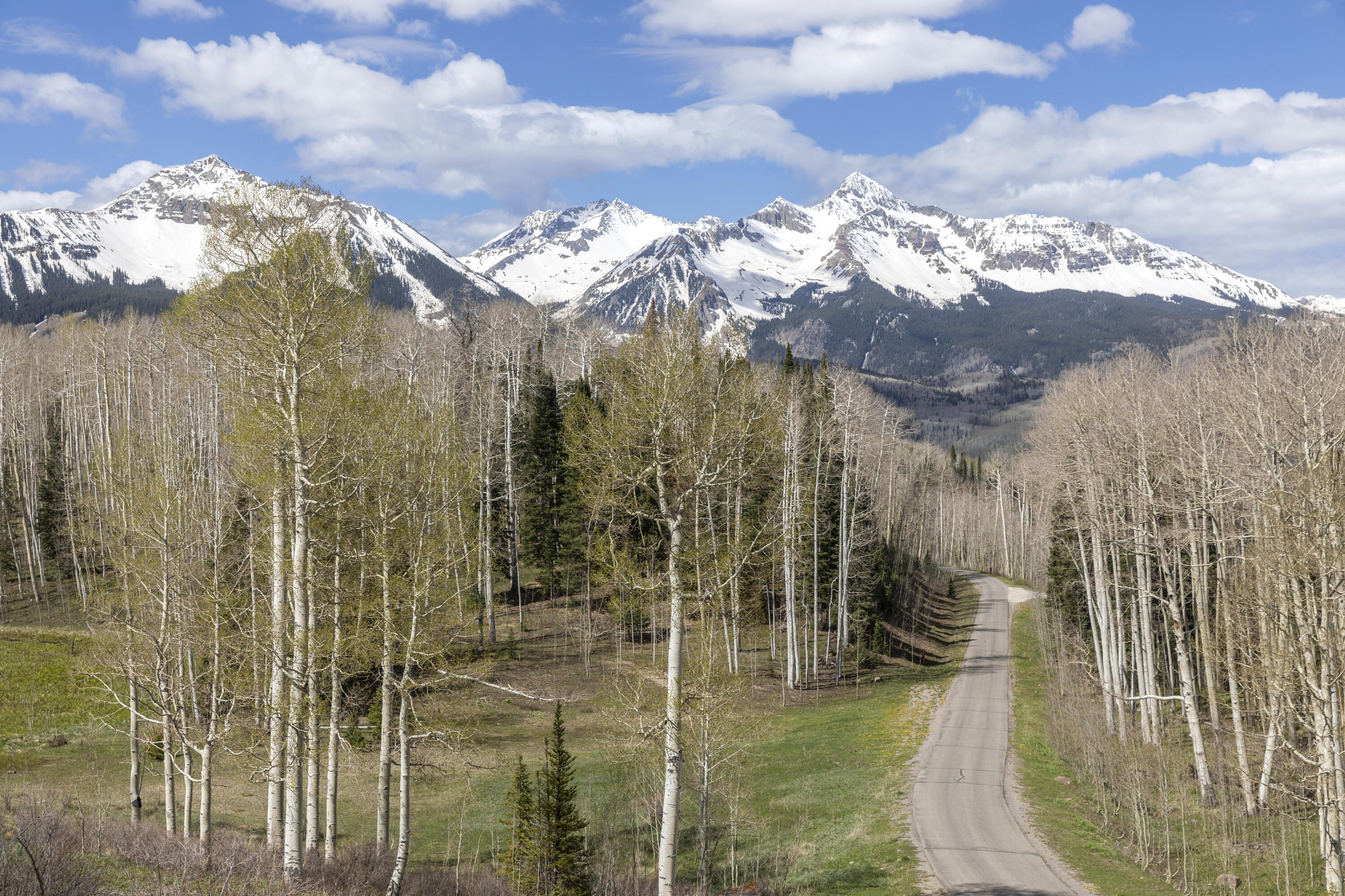 Tbd Elk Run Telluride, CO 81435 - Photo 9 of 24 a view of a yard with mountains in the background