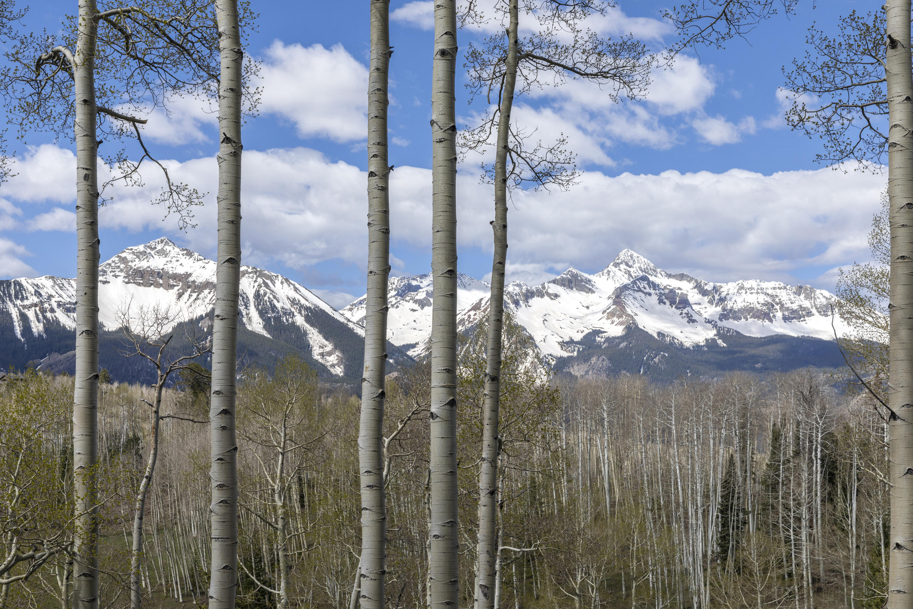 Tbd Elk Run Telluride, CO 81435 - Photo 10 of 24 a view of outside area