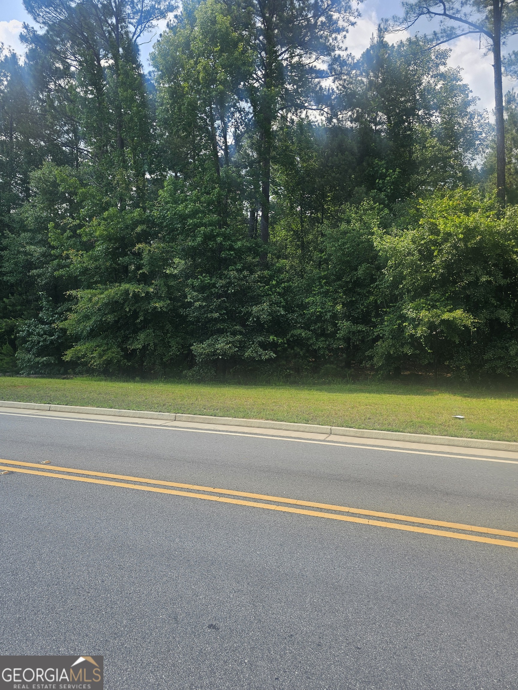 2755 Peeksville Road Locust Grove, GA 30248 - Photo 1 of 14
