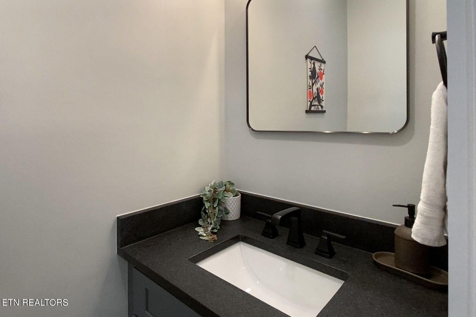 536 Laurel Road Townsend, TN 37882 - Photo 22 of 60 Half-Bath Sink