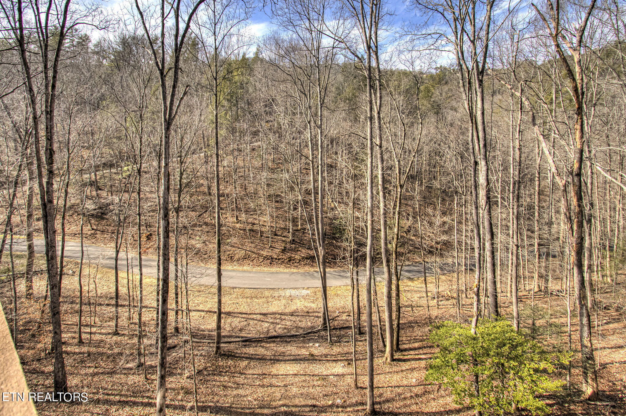536 Laurel Road Townsend, TN 37882 - Photo 28 of 60 Rear View from Deck